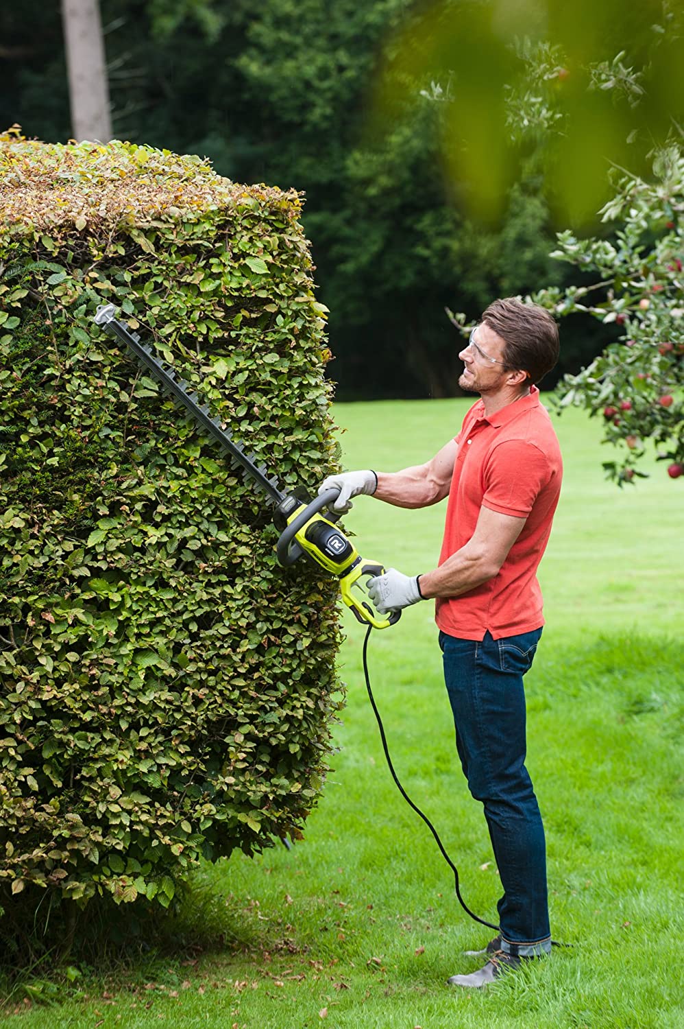 91l9qicIbsL._AC_SL1500_