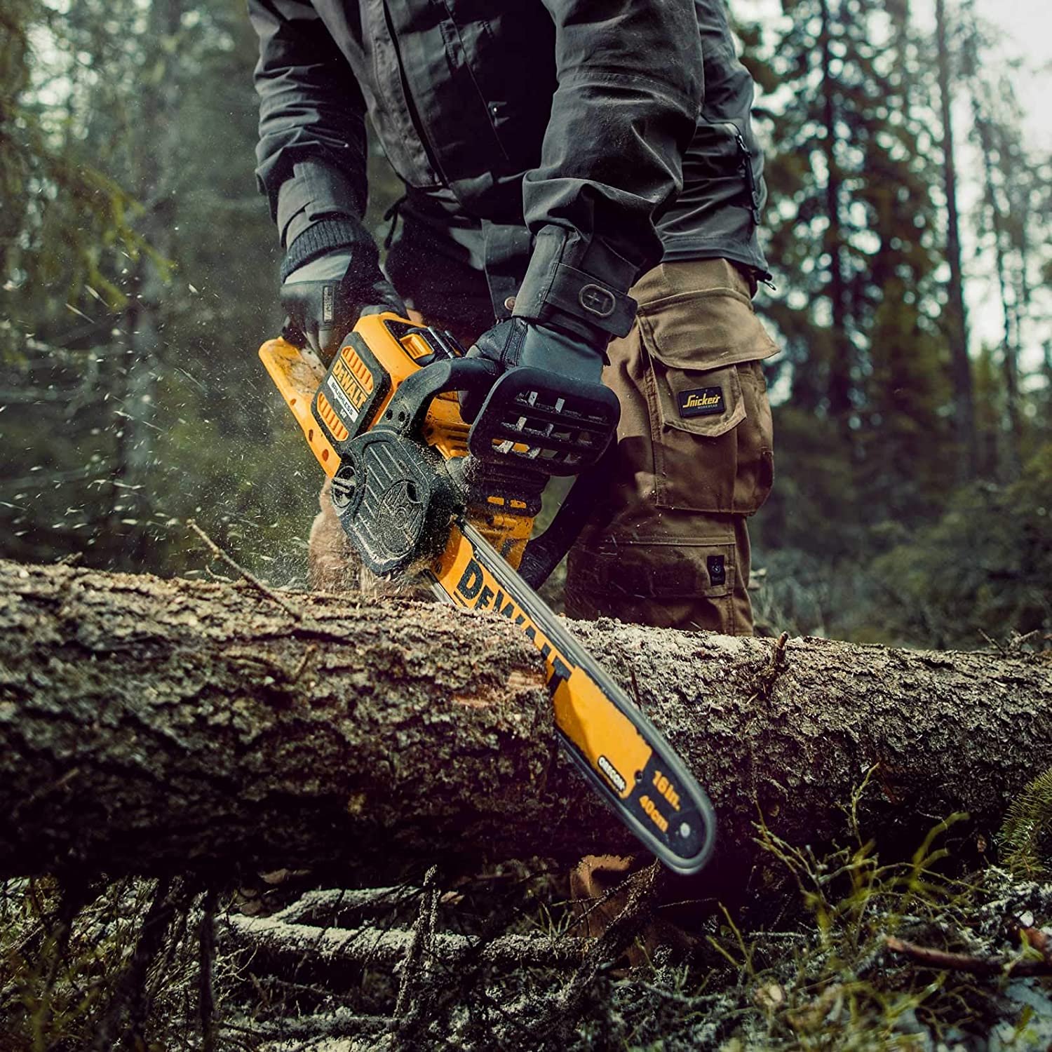 81ldW7qVpzL._AC_SL1500_