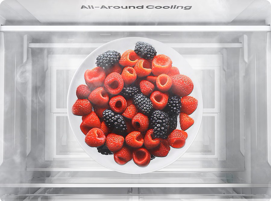 gr-feature-frost-free-food-freshness-for-longer-539834356