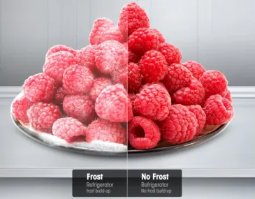 no-frost-969-1020206641.jpg