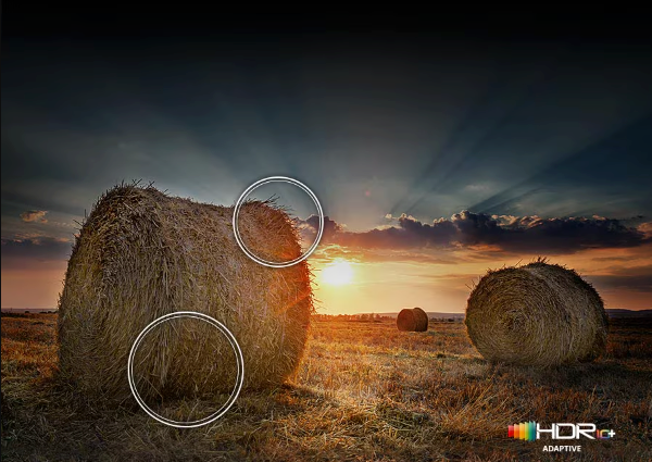 20250617164814_screenshot_from_2024_06_05_09_32_24