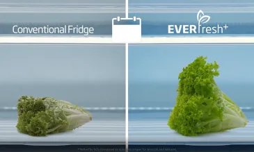 everfresh-1865-998684349.jpg